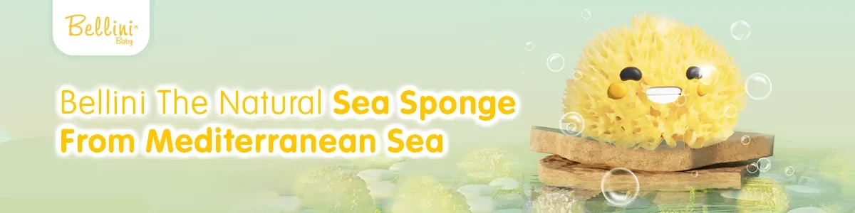 Banner Partner Profile