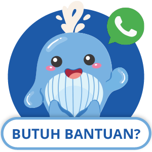 Chat on WhatsApp